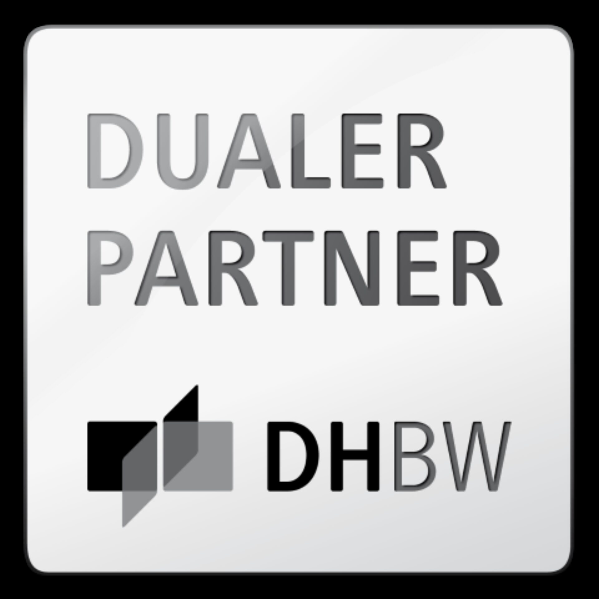 Logo Dualer Partner Web 3 D Klein